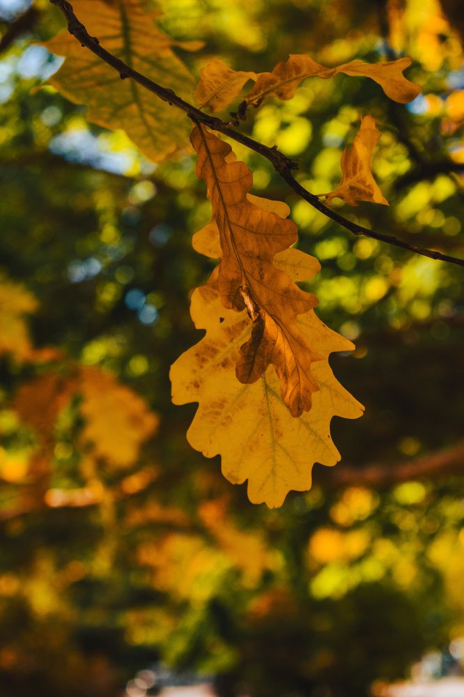 Photograph by Kanat Amre