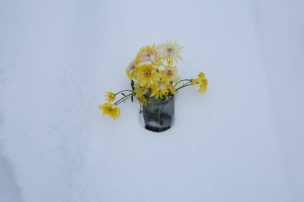 Photograph by shabnam maleki