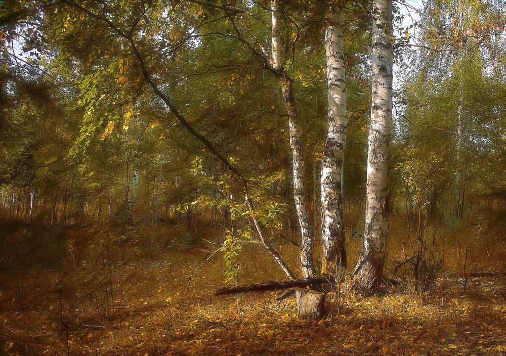 Photograph by Ткачёв Владимир