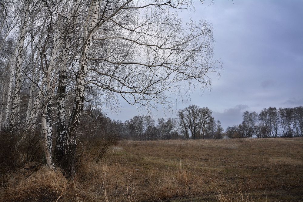 Photograph by Эд Голиков