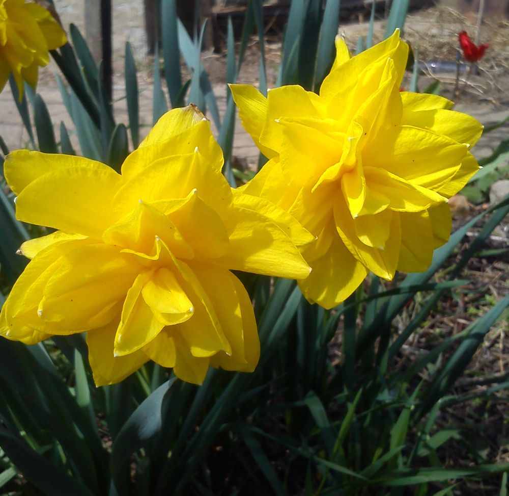 Photograph by eszter bodnár