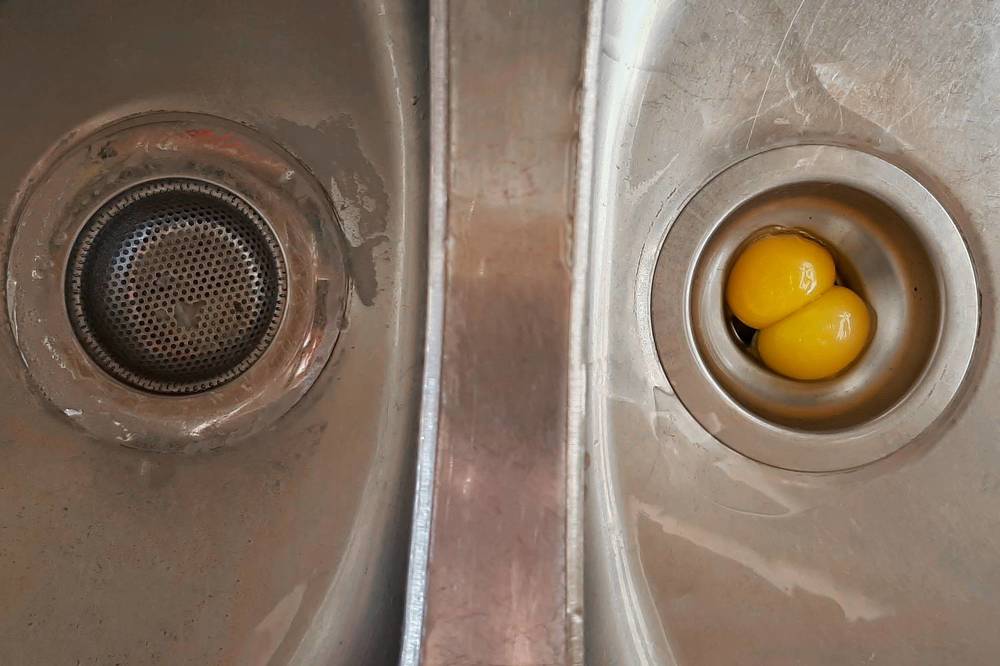 Photograph by shabnam maleki