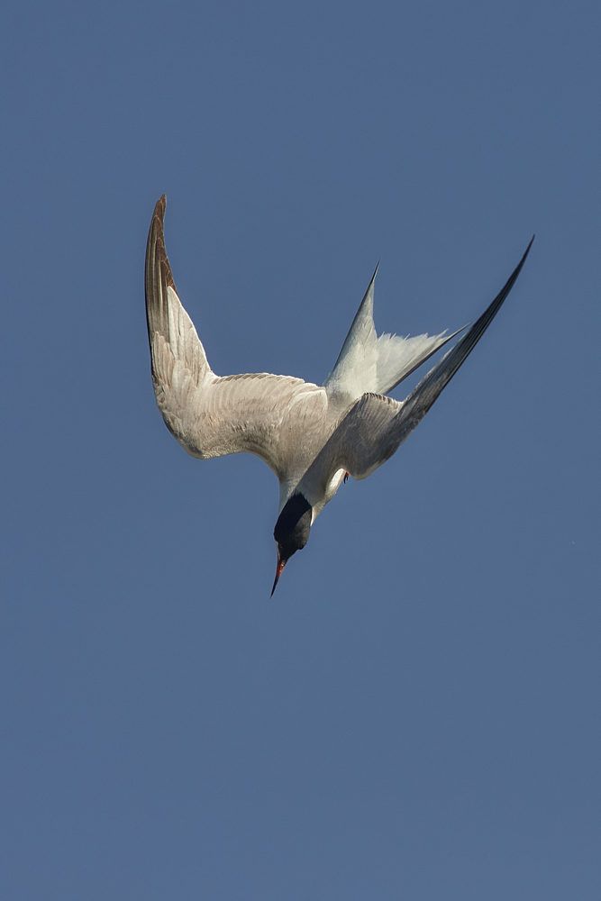 Photograph by Adil Kuandykov