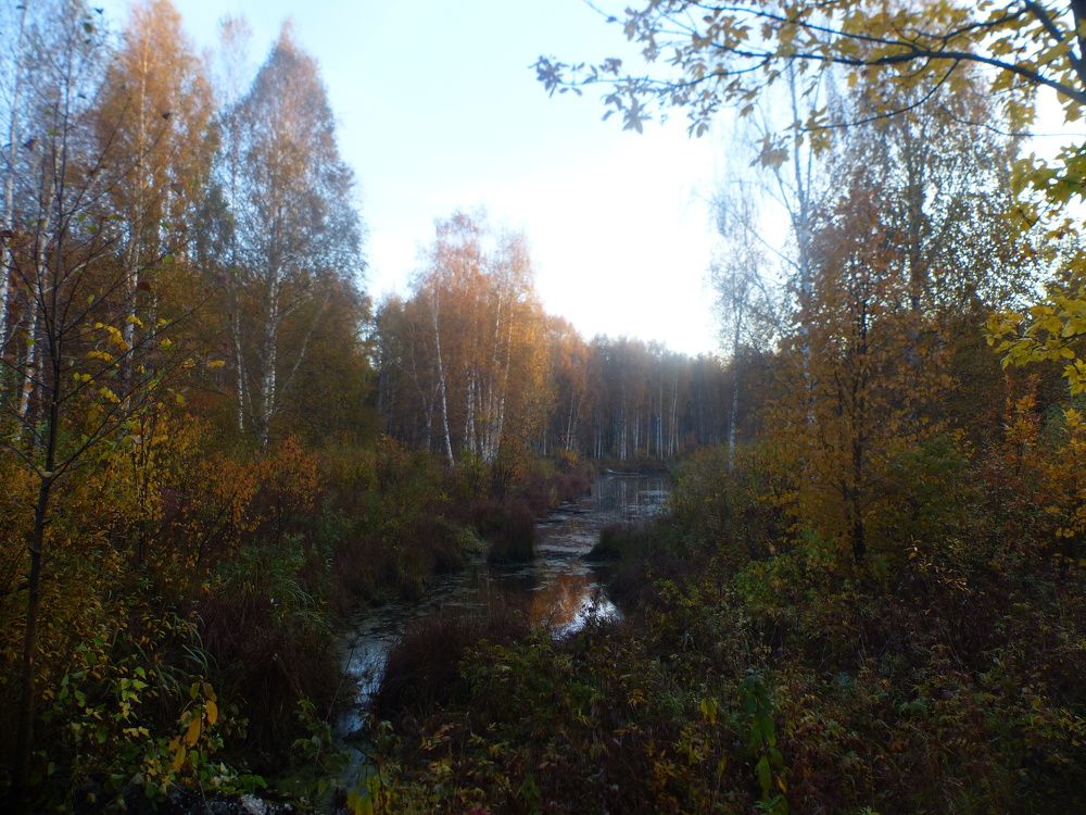 Photograph by Георгий Салюков