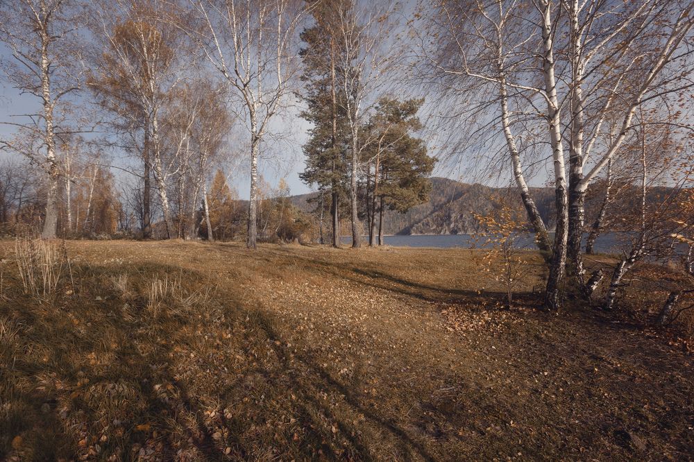 Photograph by Лариса Герасименко