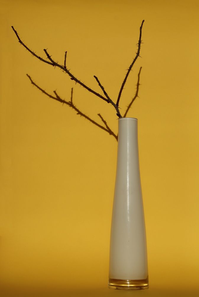 Photograph by Гуляева Светлана