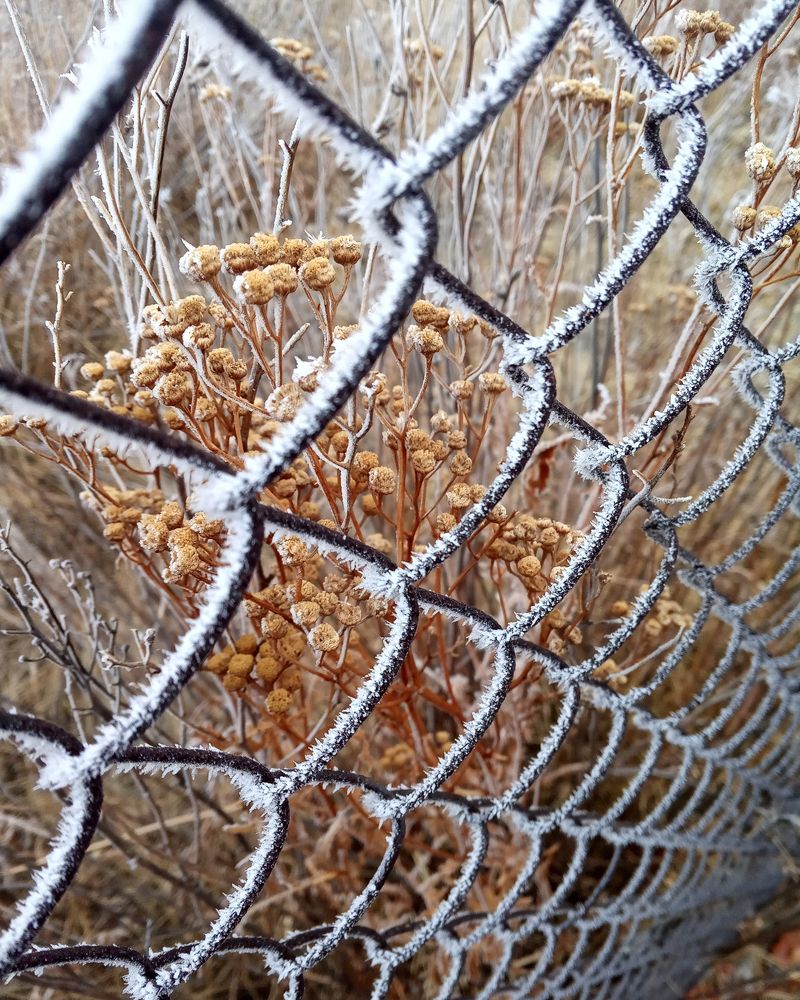 Photograph by Ольга Салтыкова