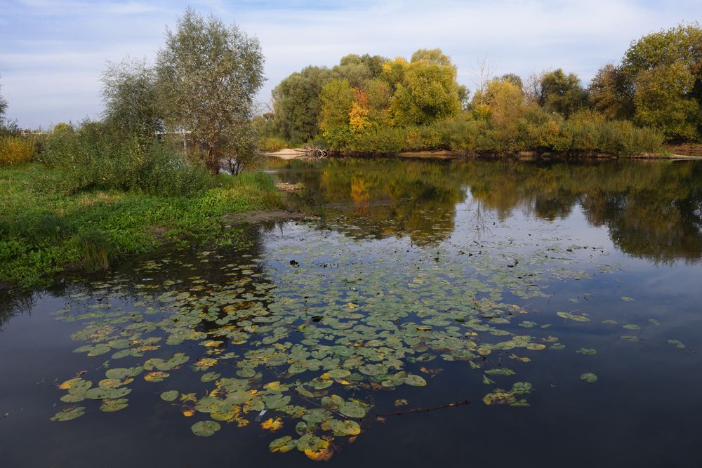 Photograph by Михаил Егоров