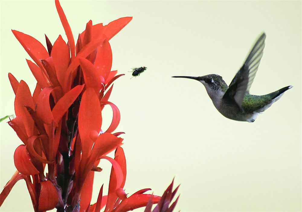 Photograph by ЗОЯ МЕДВЕДЕВА