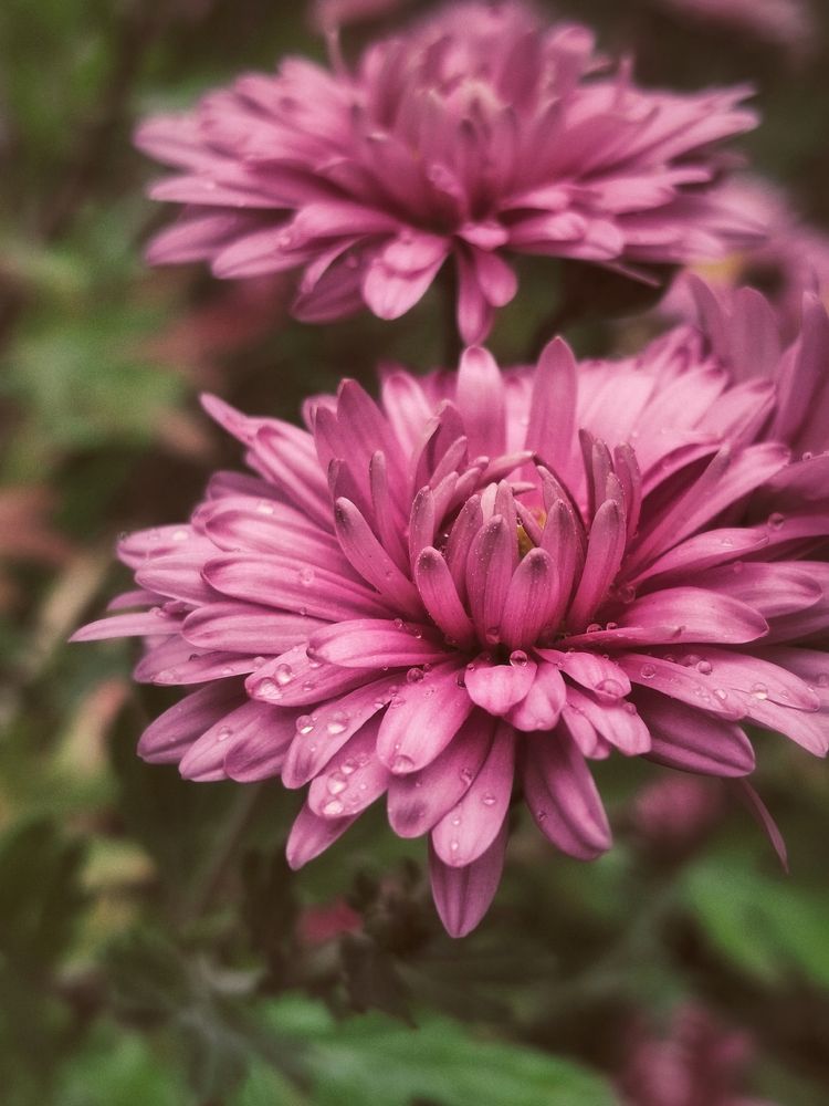 Photograph by Марина Мальцева