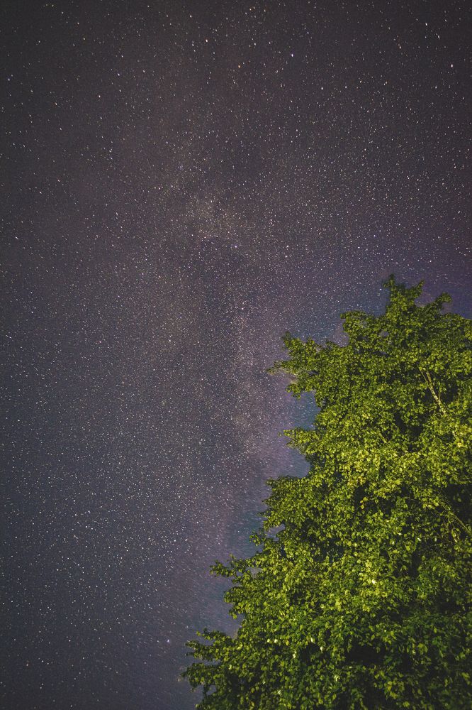 Photograph by Глеб Обуховский