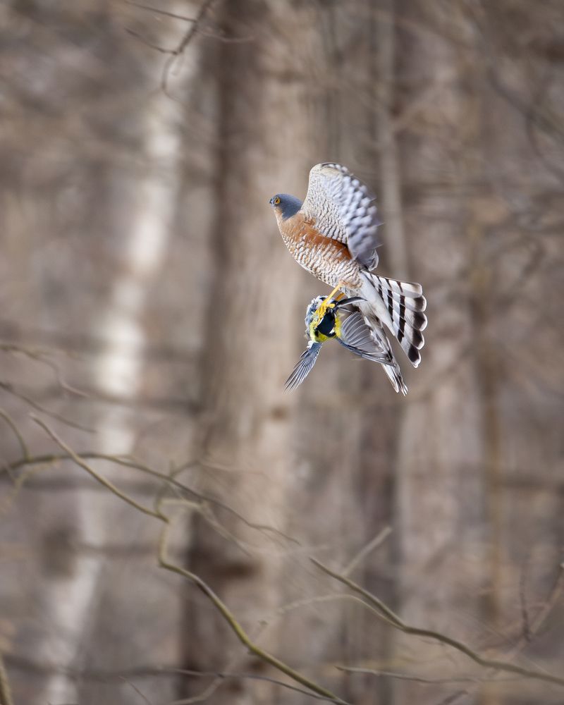 Photograph by Сергей Савельев