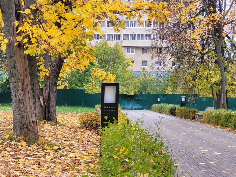 Photograph by Ирина Дружинина