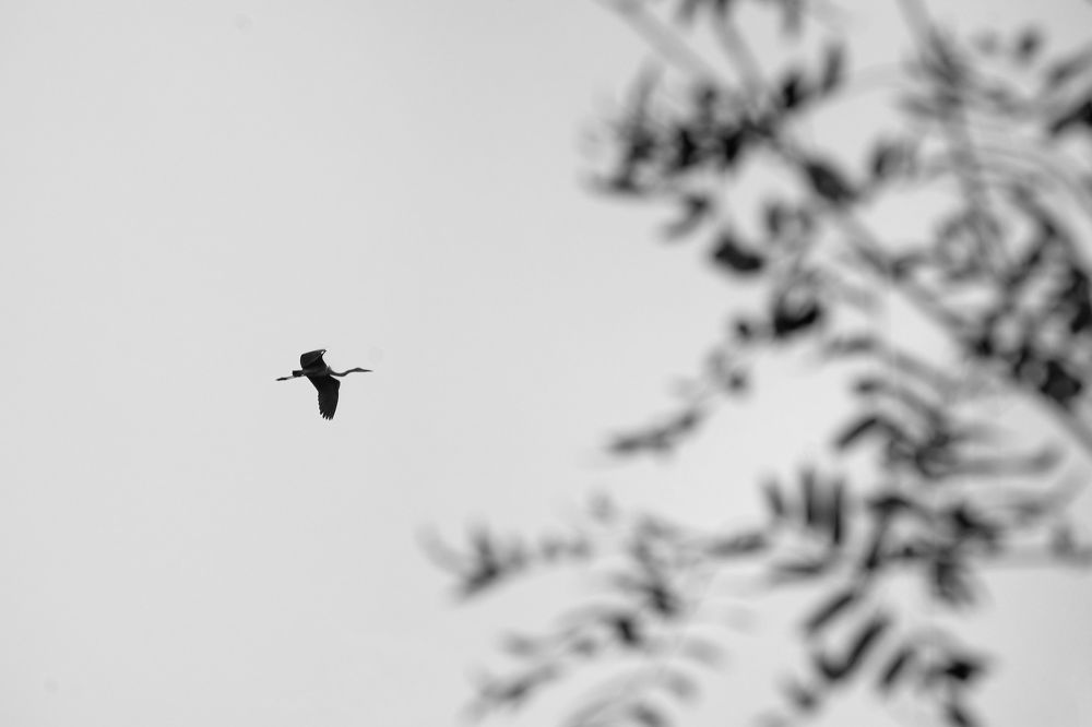 Photograph by Наталья Лабодина