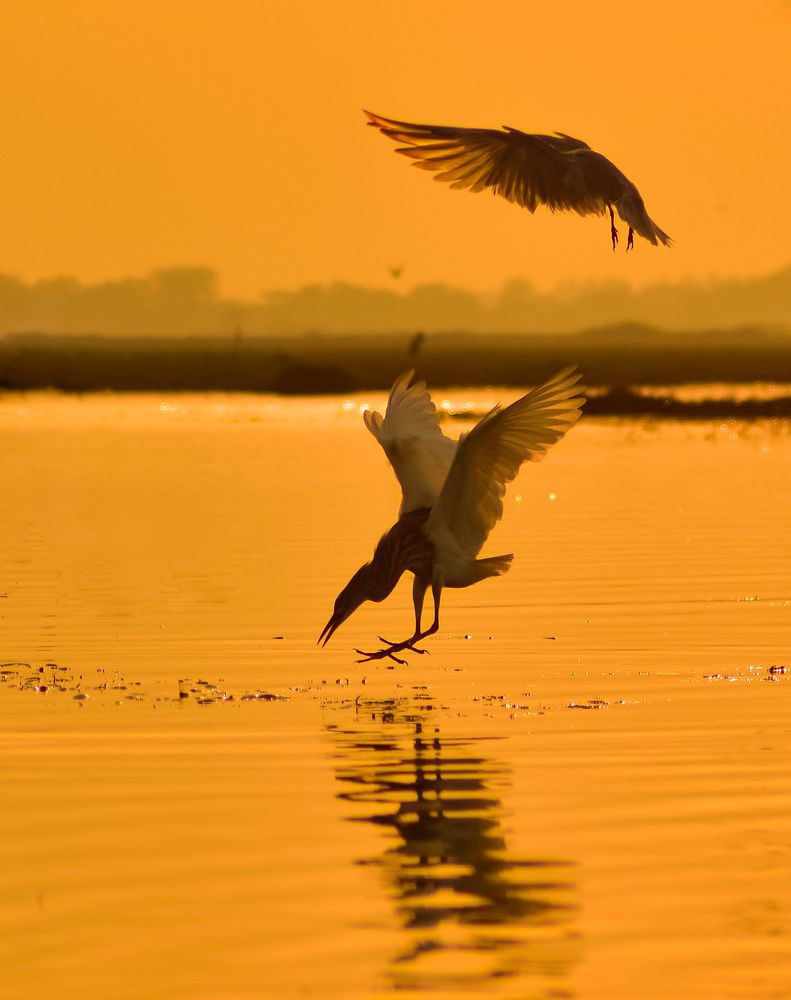 Photograph by Arindam Sahoo