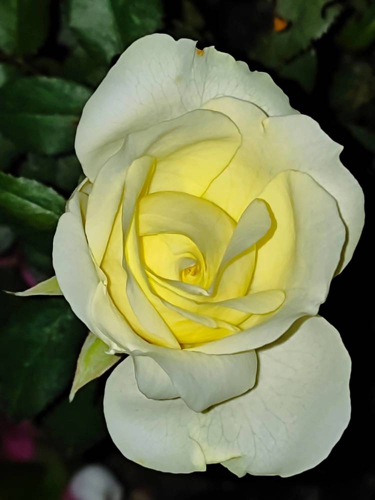 Photograph by Екатерина Борисовна Кузьмина