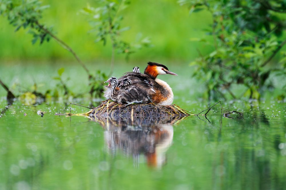 Photograph by Сергей Савельев
