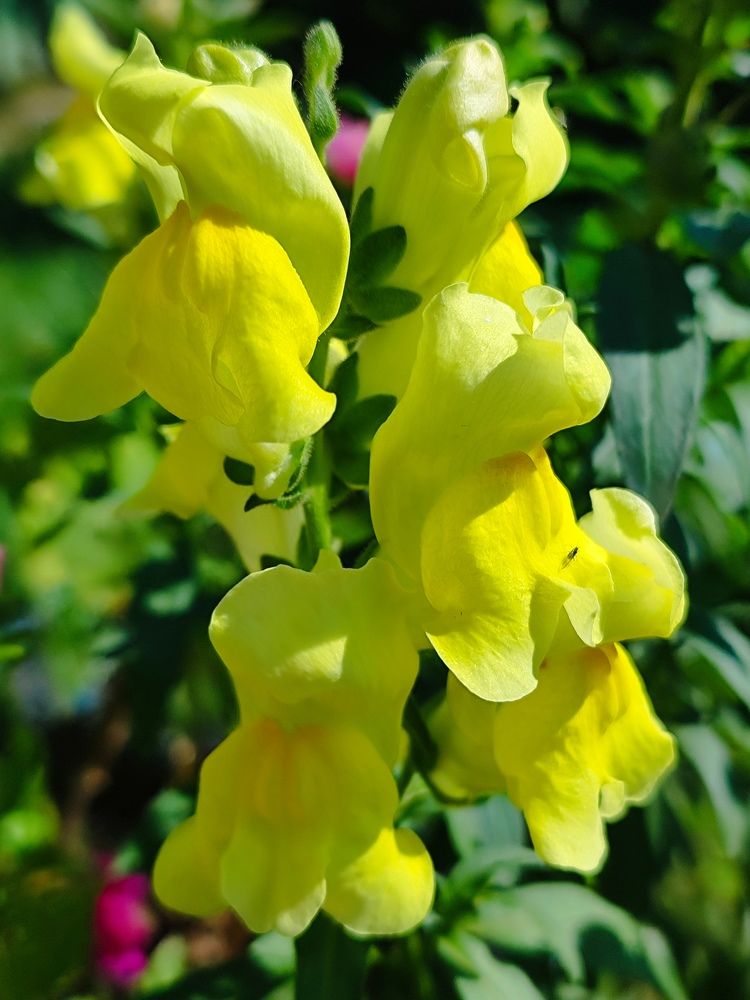 Photograph by Екатерина Борисовна Кузьмина