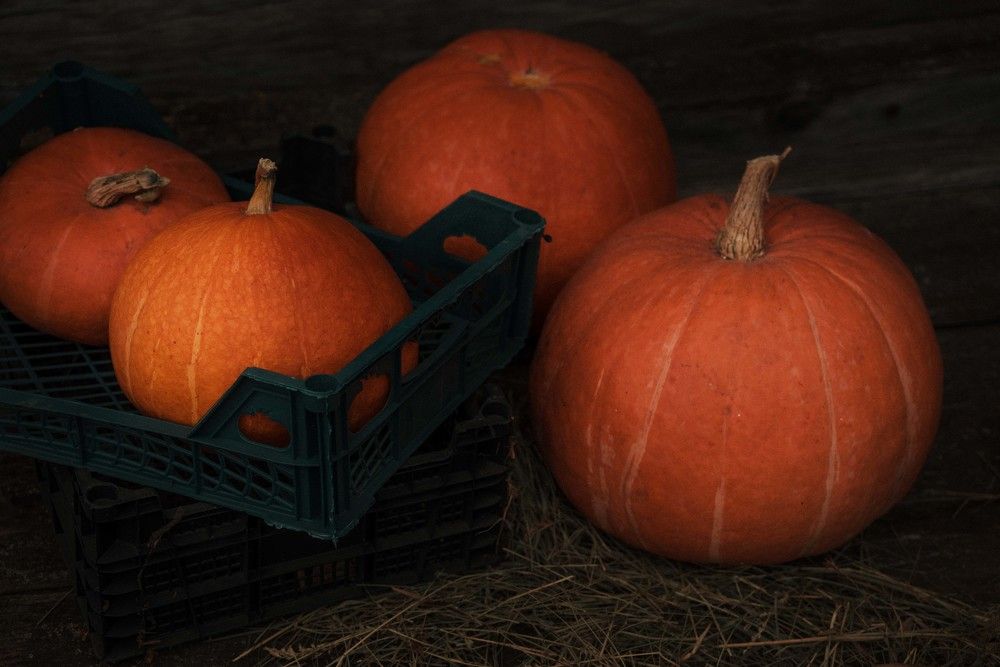 Фотография автора Рыбаков Илья