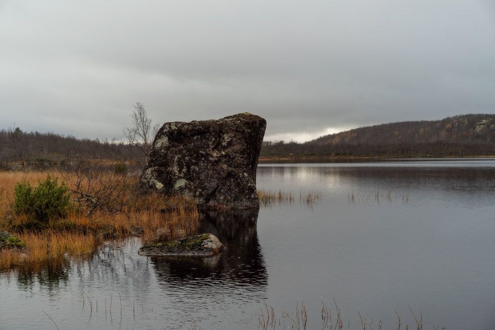 Photograph by Марина Зборацкая