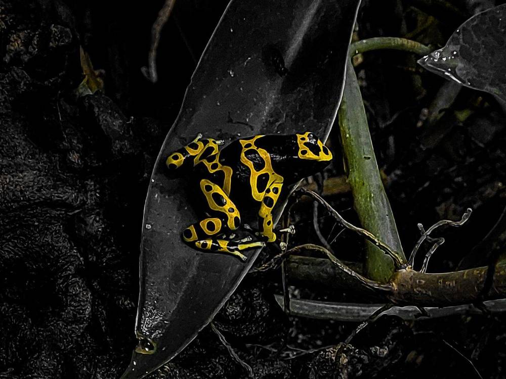 Photograph by Ivan Goshtanar