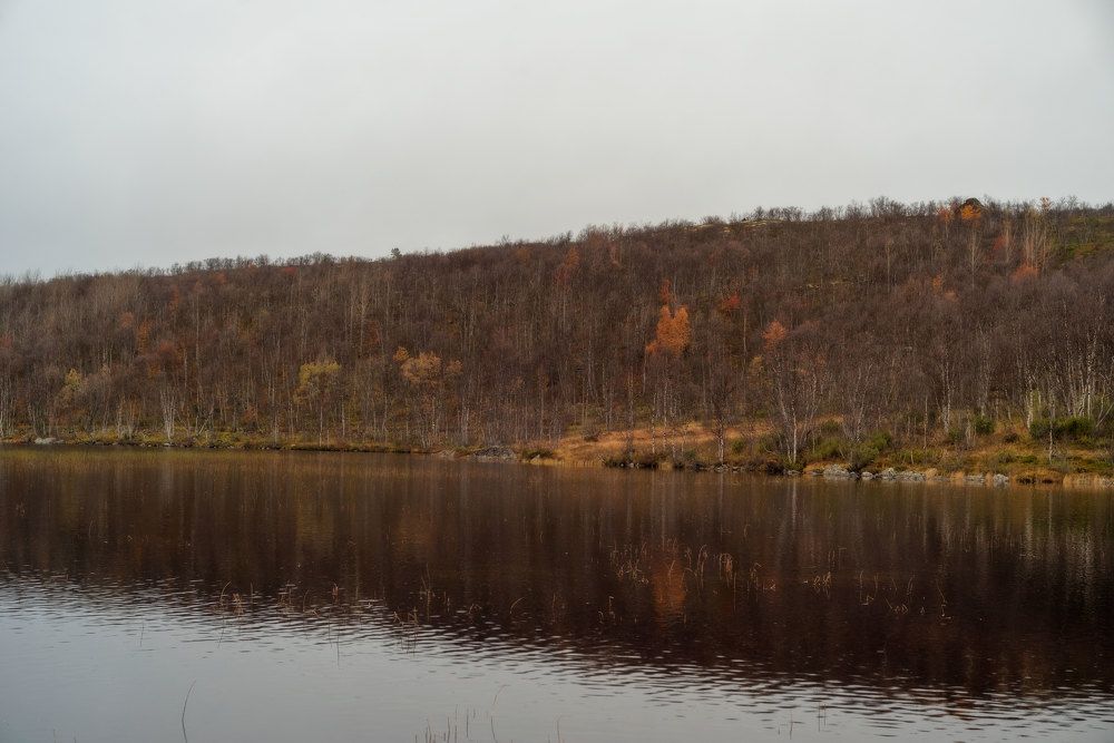 Photograph by Марина Зборацкая