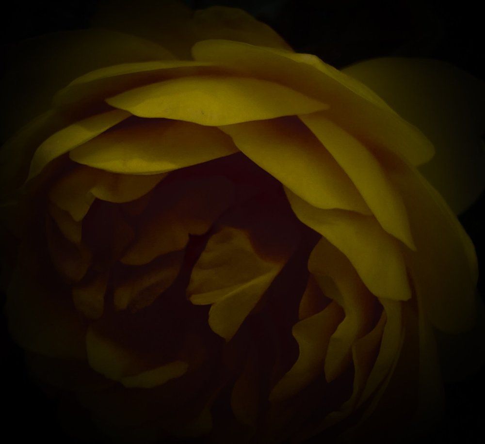 Photograph by Ivan Goshtanar