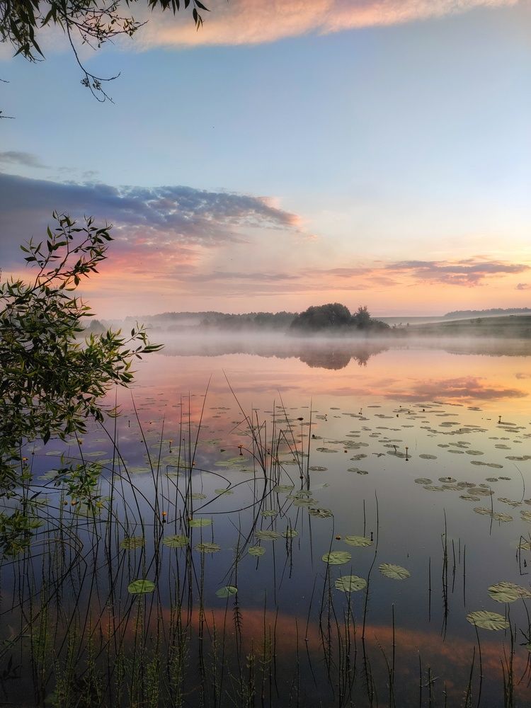 Photograph by Владимир Шаруба