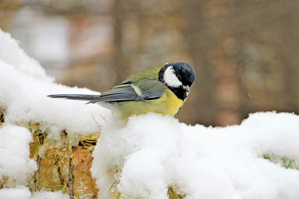 Photograph by  Валентина