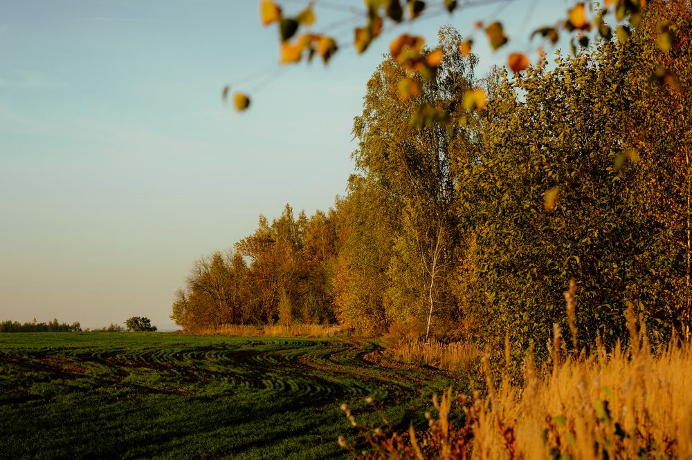 Photograph by Марина Слепова