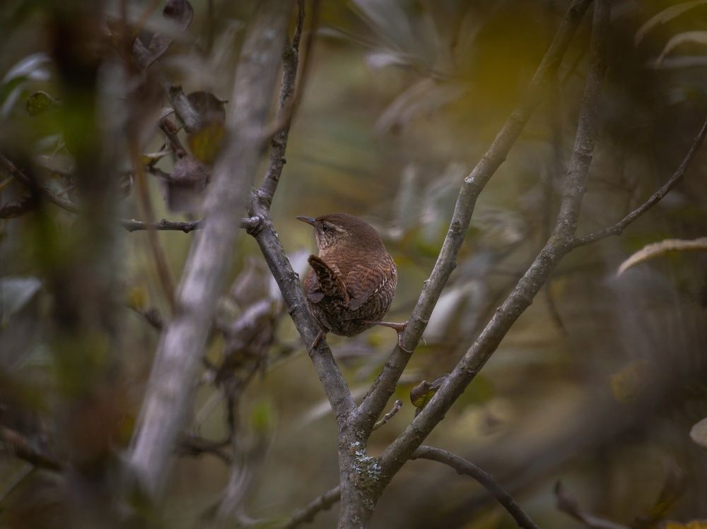 Photograph by Сергей Хабаров