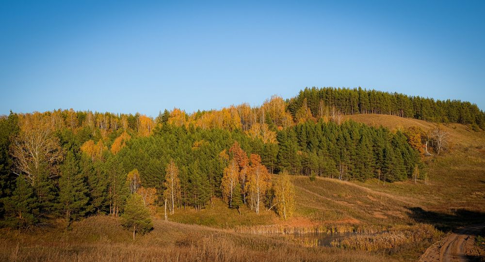 Photograph by Альберт Габбасов