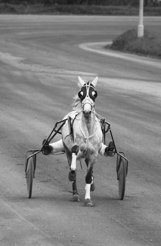 На беговой дорожке