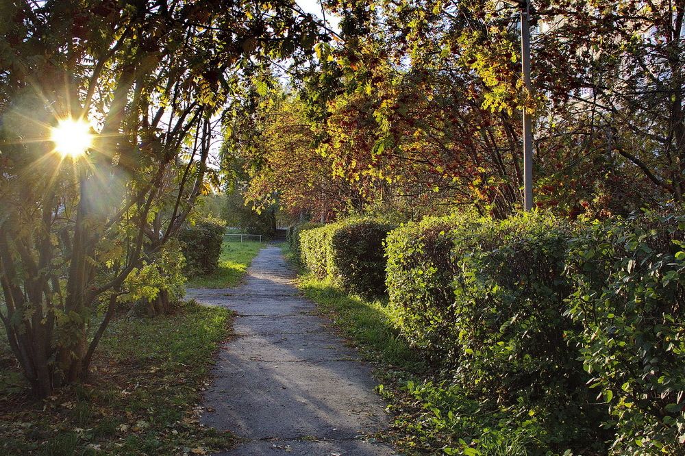 Photograph by Еловиков Олег