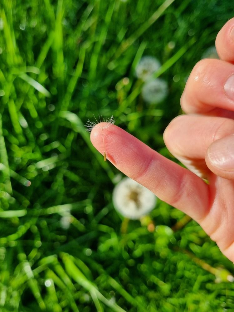 Photograph by Ольга