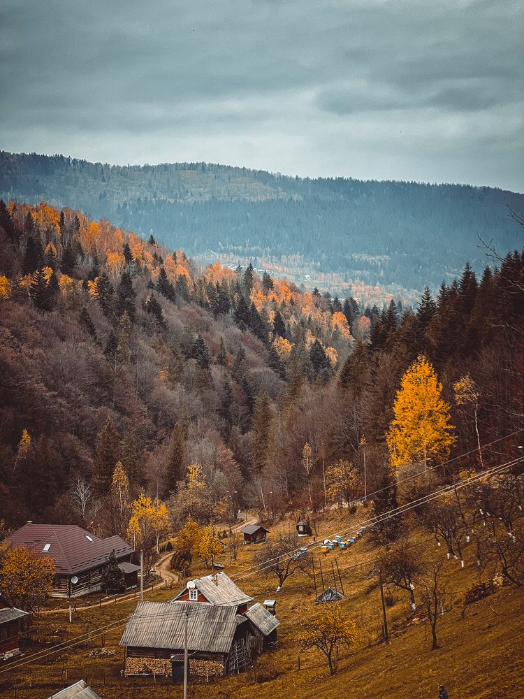 Photograph by Ольга Скиба