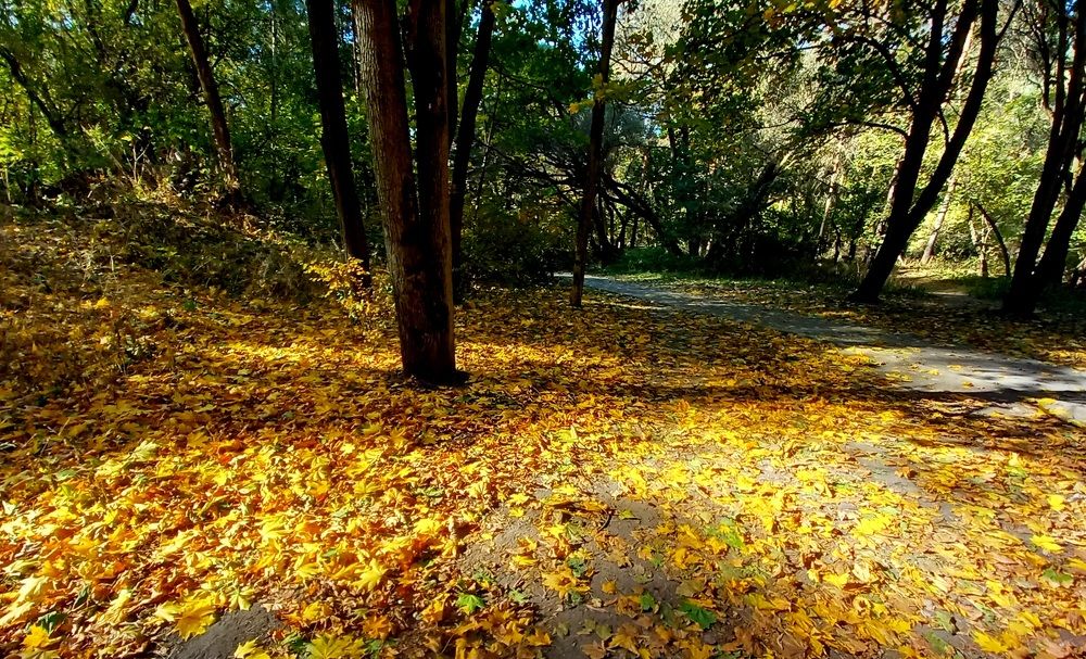 Photograph by Марина Чуева