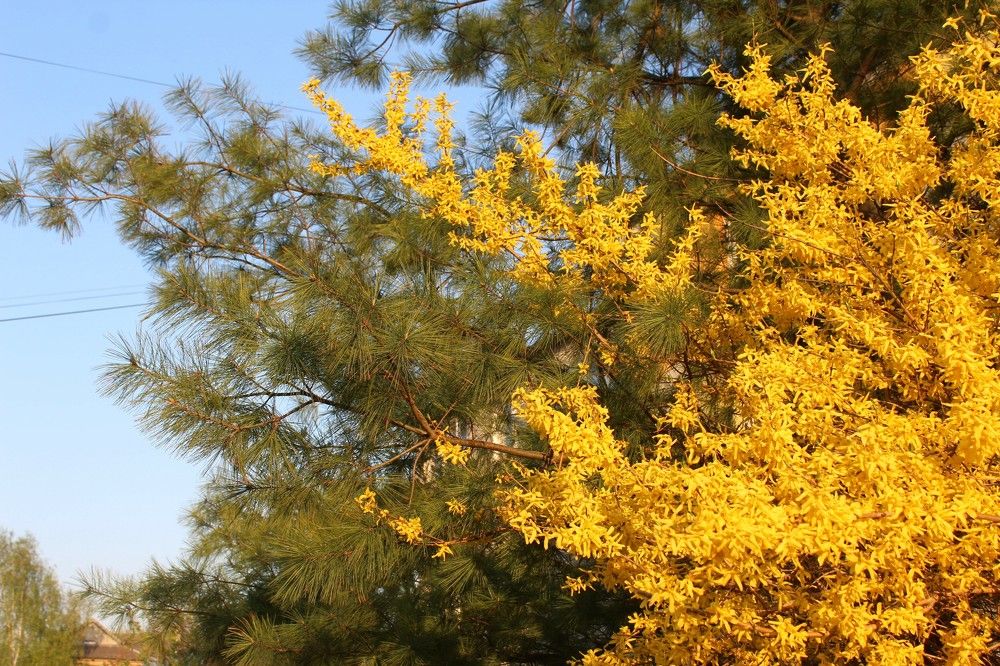 Photograph by Наталья Резванова