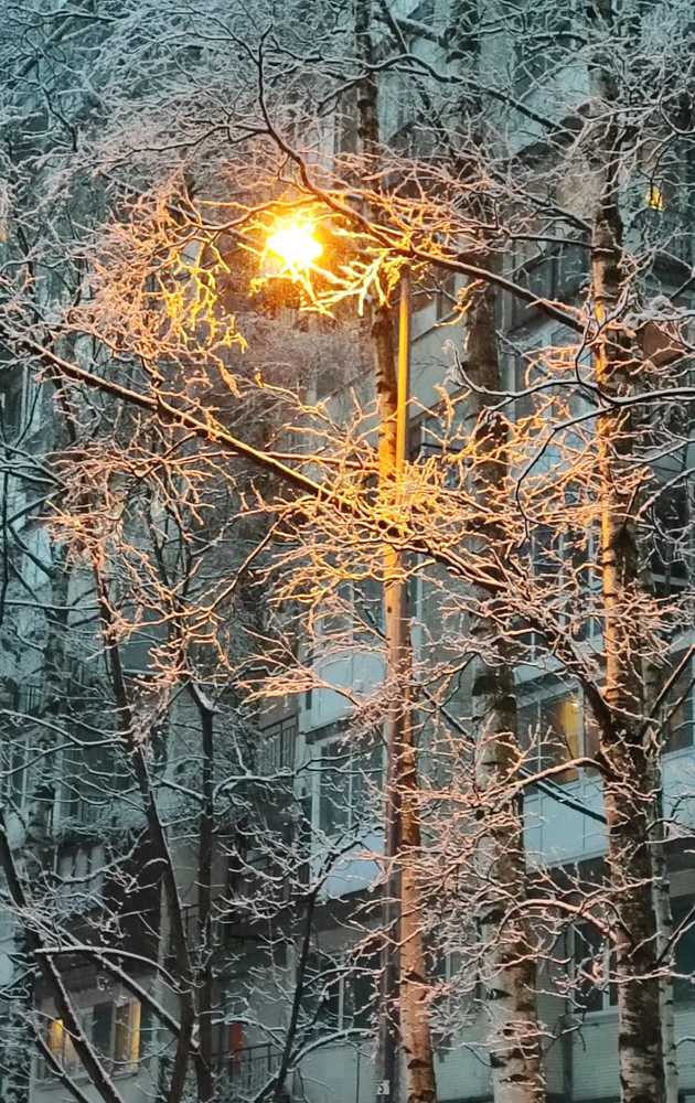 Photograph by Елена Юдина