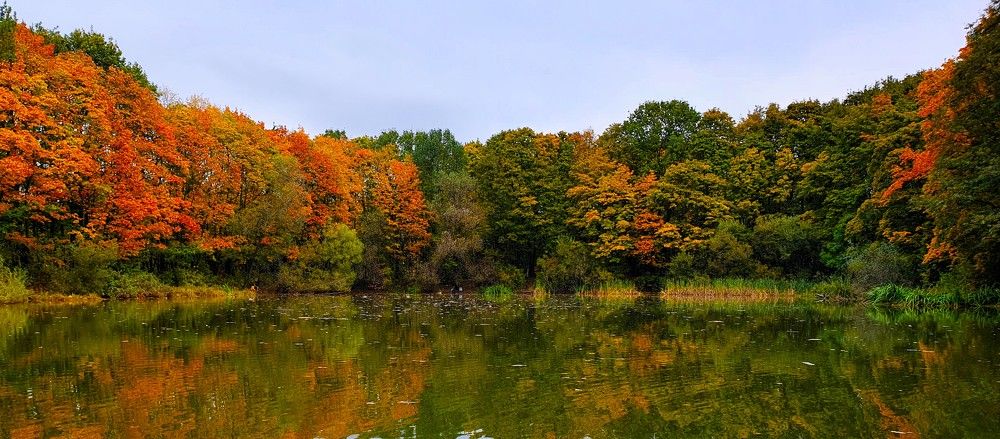 Photograph by Яна Галимуллина