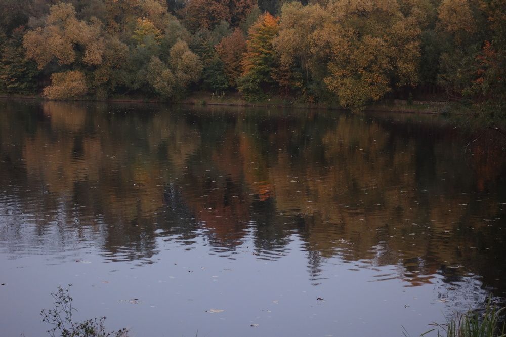Photograph by Дарья Гришина