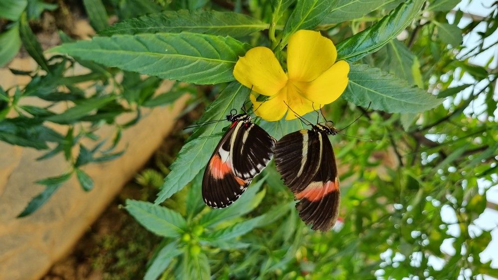 Фотография автора Nieves Gloria Alvarez Diaz