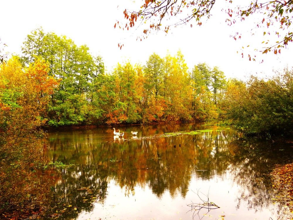 Photograph by Лариса Басова