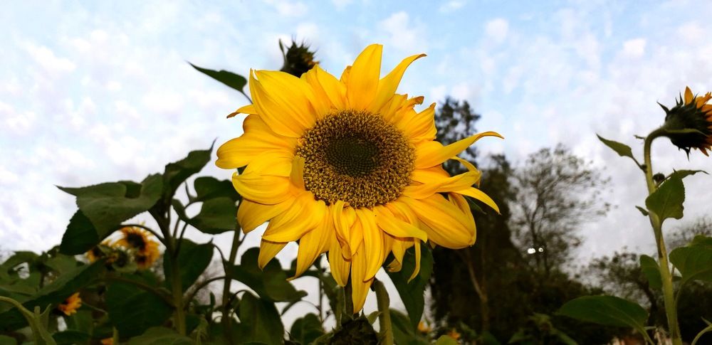 Photograph by fatemeh mohammadmosa