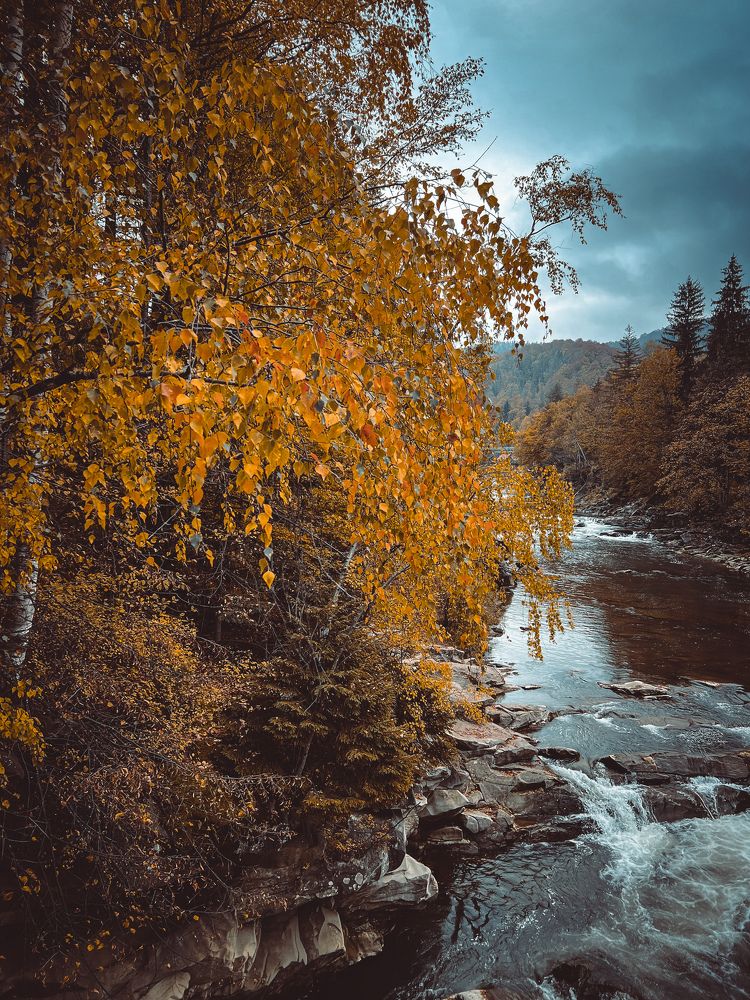 Photograph by Ольга Скиба