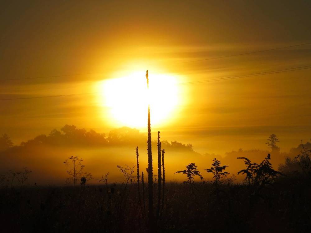 Photograph by Лариса Басова