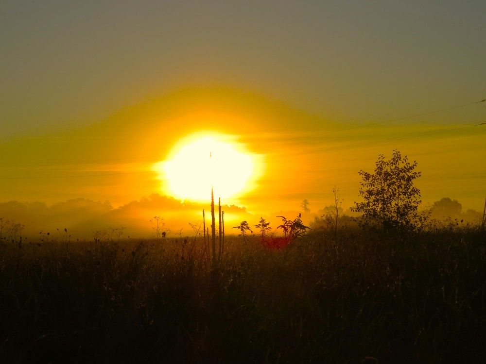 Photograph by Лариса Басова