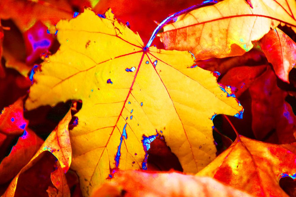 Photograph by mahdi karimi souderjani