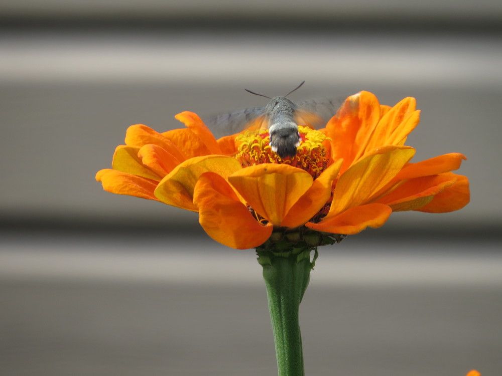 Photograph by Лариса Басова