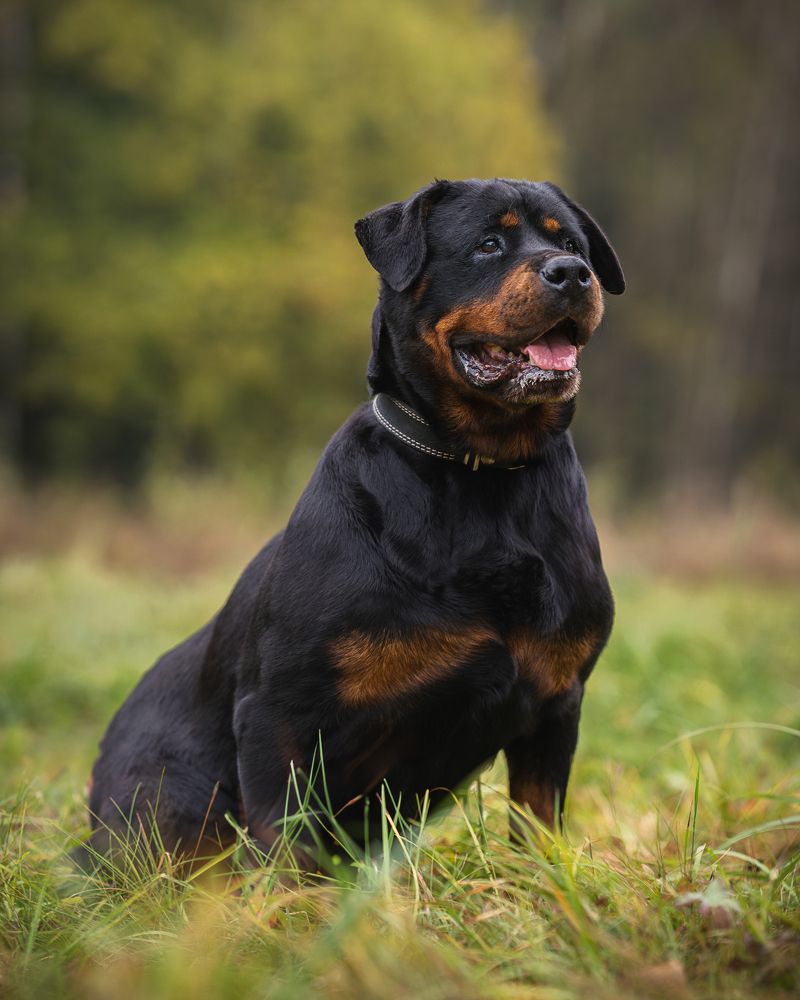 Photograph by Данил Шауба